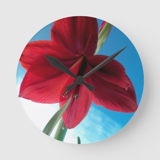 Vivid Red Amaryllis Flower Rund Klocka (Framsida)