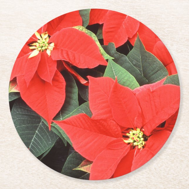 Vivid Red jul Poinsettias Underlägg Papper Rund (Framsidan)