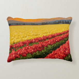 Vivid Red och Guld Tulips i Skagit County Prydnadskudde