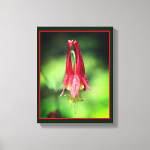 Vivid Red Vild Columbine Flower Canvastryck