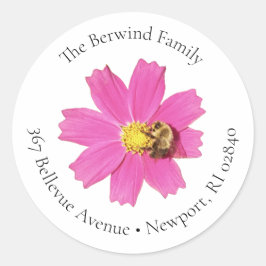 Vivid Rosa Cosmos Flower Round Address Label Runt Klistermärke