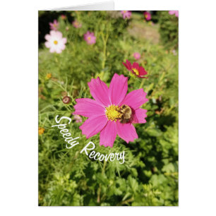 Vivid Rosa Cosmos Snabb återställningskort Hälsningskort