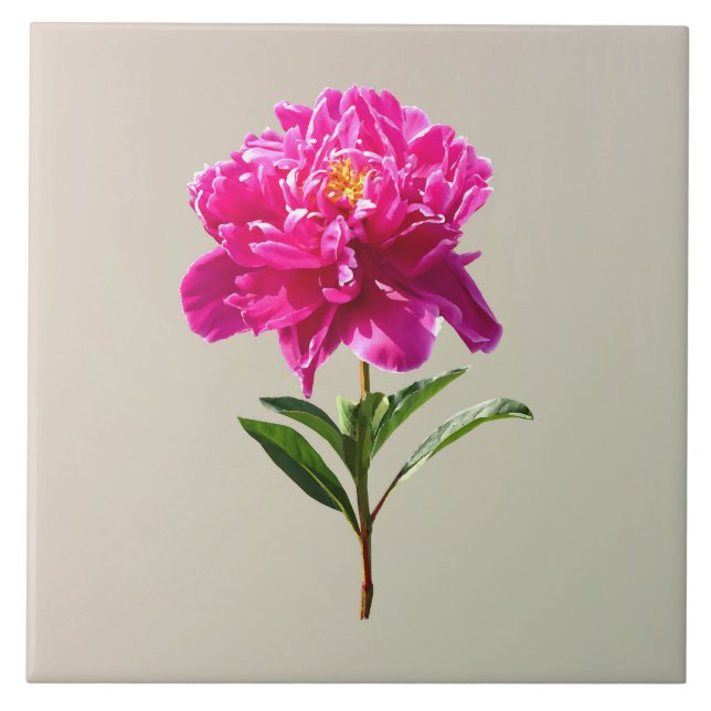 Vivid Rosa Peony Kakelplatta (Framsidan)