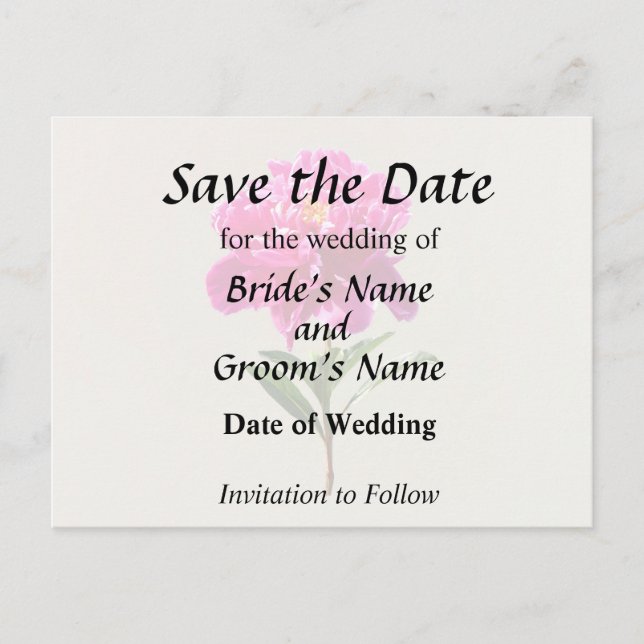 Vivid Rosa Peony Meddelande Vykort (Framsida)