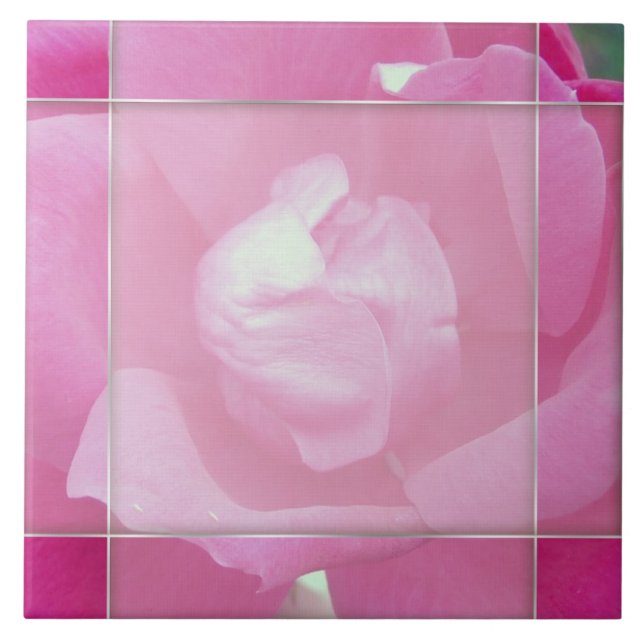Vivid Rosa ros 2-foto-keramiska plattor Kakelplatta (Framsidan)