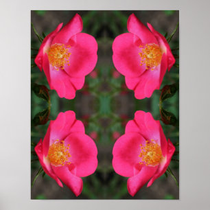 Vivid Rosa ros Petals Abstrakt Blommigt Art Poster