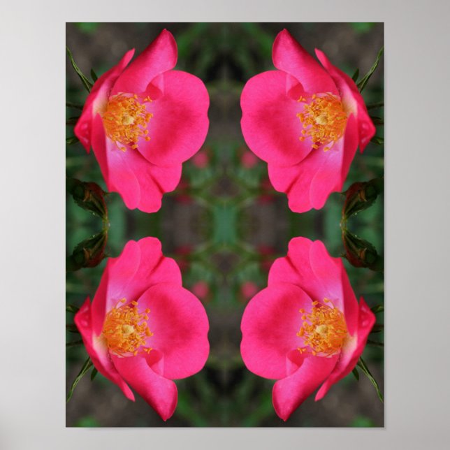 Vivid Rosa ros Petals Abstrakt Blommigt Art Poster (Framsidan)