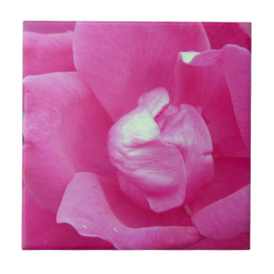Vivid Rosa ros Photo Ceramic Tiles Kakelplatta