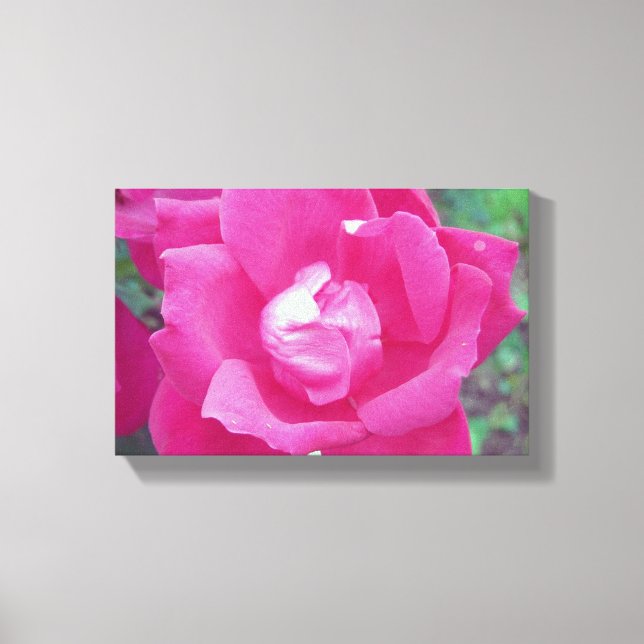 Vivid Shock rosa Photo Stretched Canvas Art (Framsida)