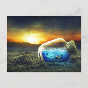 Vivid Sunset Beach Crab/Sea Life i Flaska Surreal Vykort