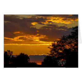 Vivid Sunset med flygande fåglar Hälsningskort