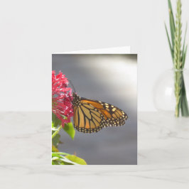Vivid Tropical Butterfly-mappat gratulationskort Kort
