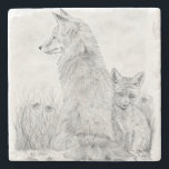 Vixen med Kit Stenunderlägg<br><div class="desc">Vixen med kit</div>