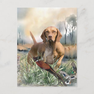 Vizsla, Art Helg Vykort