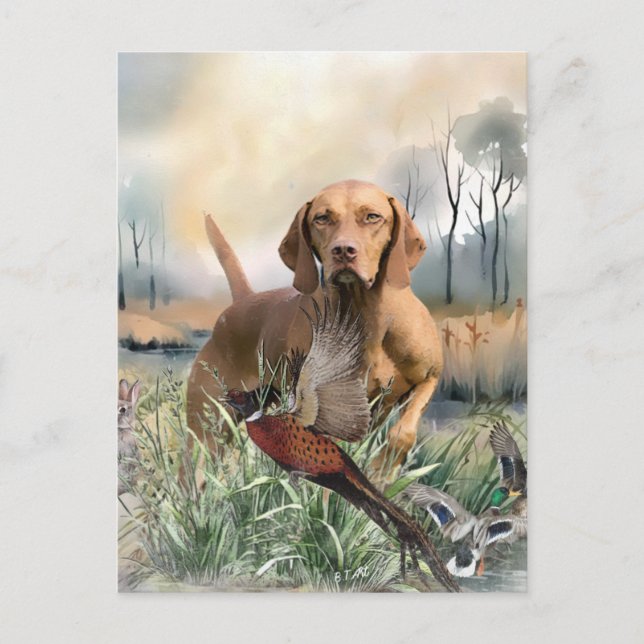 Vizsla, Art Vykort (Framsida)