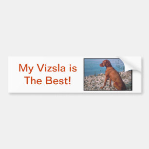 Vizsla Bildekal