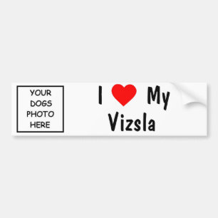 Vizsla Bildekal