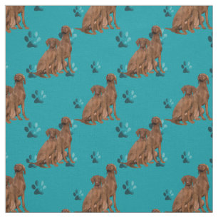 Vizsla blue tyg