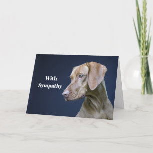 Vizsla Brown Hund Fotosympati Kort