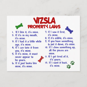 VIZSLA Egendom LAGSTIFTNING 2 Vykort