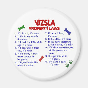 VIZSLA-egendomlagar 2 Magnet