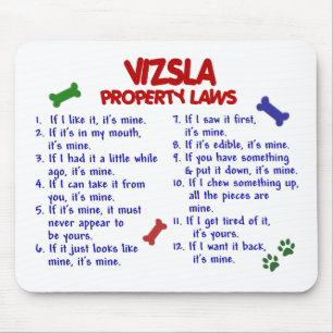 VIZSLA-egendomlagar 2 Musmatta