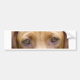 vizsla eyes.png bildekal