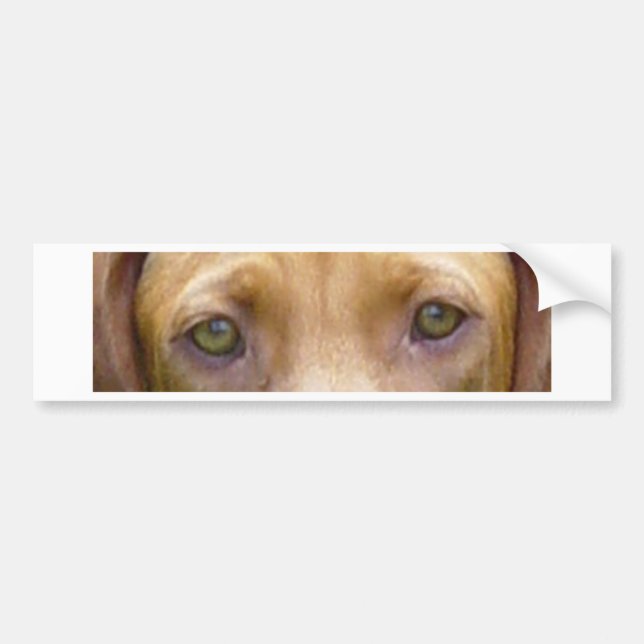 vizsla eyes.png bildekal (Framsidan)