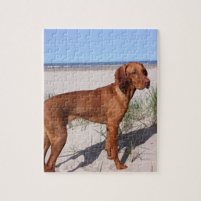 vizsla full pussel (Vertikal)