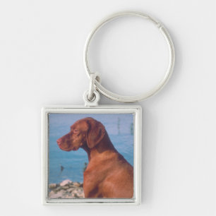 Vizsla Fyrkantig Silverfärgad Nyckelring