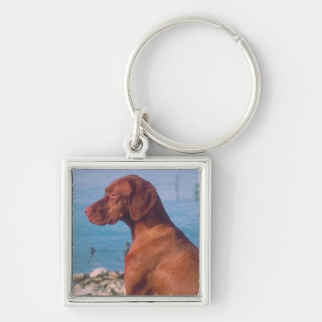Vizsla Fyrkantig Silverfärgad Nyckelring (Framsidan)