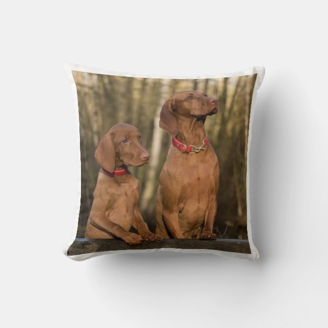 vizsla-grupp kudde (Framsida)
