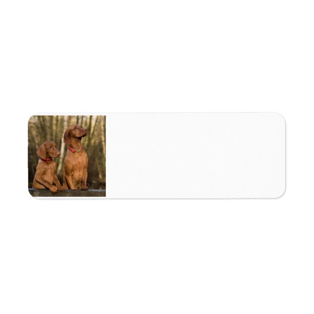 vizsla-grupp returadress etikett (Framsidan)