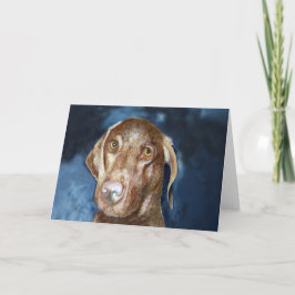 Vizsla hälsningkort med att matcha portofrimärket kort
