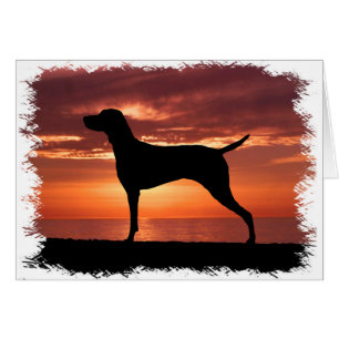 Vizsla Hälsningskort