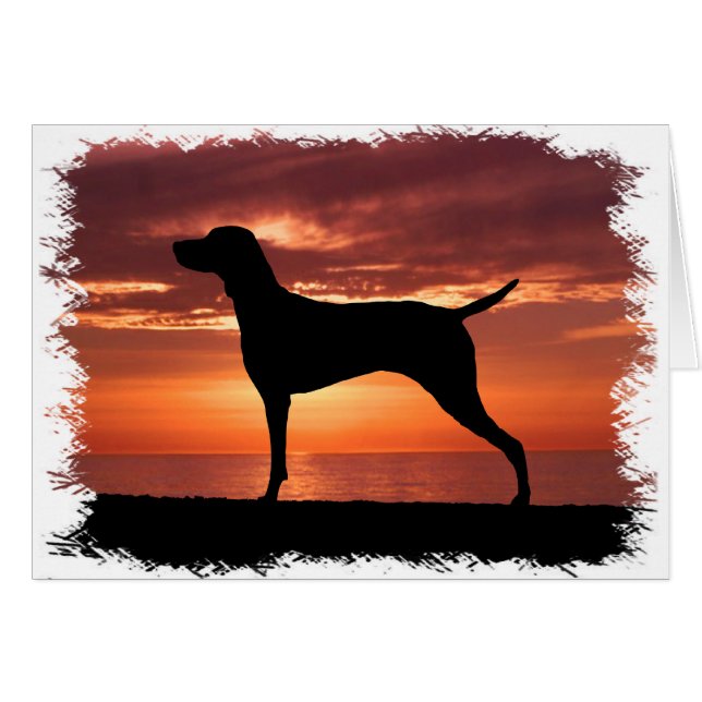 Vizsla Hälsningskort (Framsidan Horizontal)