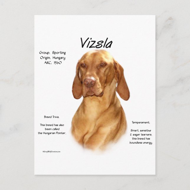 Vizsla-historikdesign Vykort (Framsida)