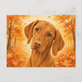 Vizsla Höstskog Hund Vykort