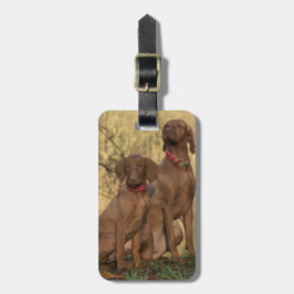Vizsla Hound Hundar Bagagebricka