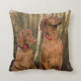 Vizsla Hound Hundar - Hunting Hounds - Kudde