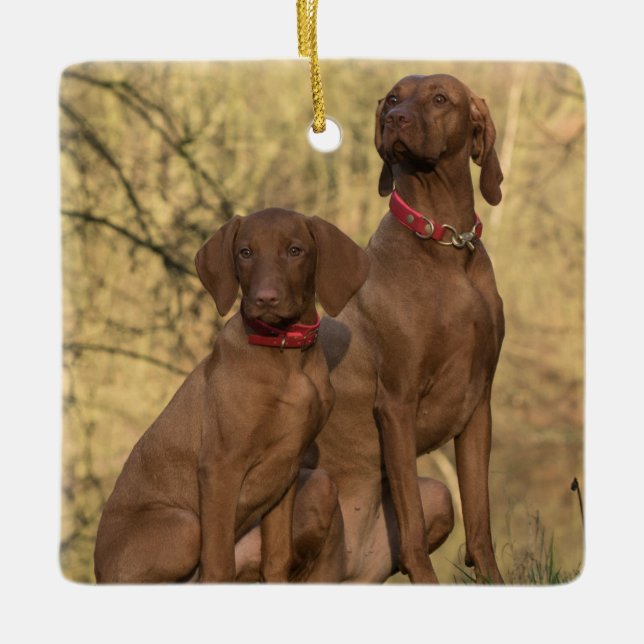 Vizsla Hound Hundar Julgransprydnad Keramik (Framsida)