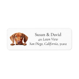 Vizsla Hund aveln Djurälskares Returadress Etikett