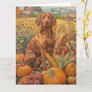 Vizsla Hund Höstskörd Tacksägelse Kort