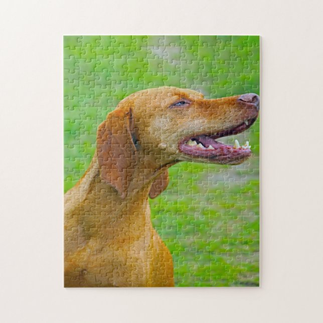 Vizsla Hund Jigsaw. Pussel (Vertikal)