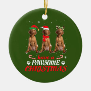 Vizsla Hund Julgransprydnad Keramik