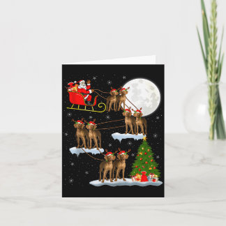 Vizsla Hund Jultomte Släd Flygande Rolig Magisk Ju Kort