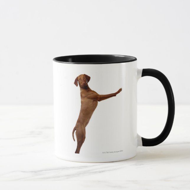 Vizsla hund mugg (Höger)