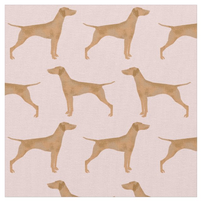 vizsla hund rosa tyg (Närbild)
