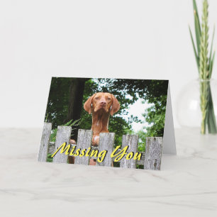 Vizsla hund "saknad som du" card kort