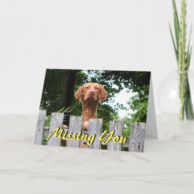 Vizsla hund "saknad som du" card kort (Framsida)